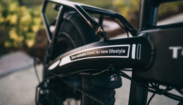 大起大落之后，Ebike和两轮电动的出海远征才刚开始