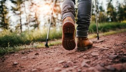 地方新聞精選 | 四川：游客擅自進(jìn)入未開放區(qū)域?qū)⒊袚?dān)責(zé)任 福建：警方偵辦首起在線監(jiān)測(cè)數(shù)據(jù)造假案