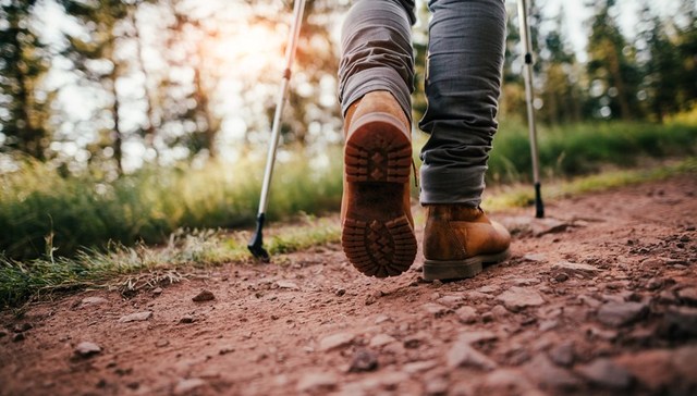 地方新闻精选 | 四川：游客擅自进入未开放区域将承担责任 福建：警方侦办首起在线监测数据造假案