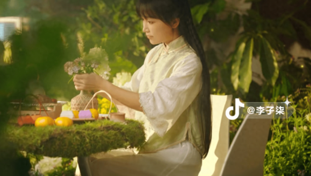 短视频,网红经济,李子柒复出