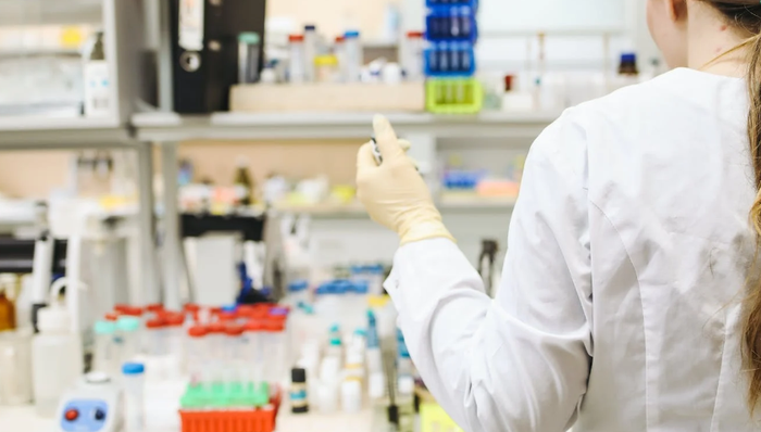 石家庄,华北制药,生物医药,