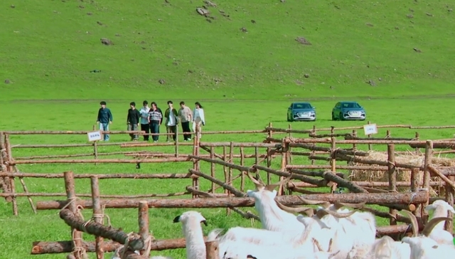 综艺,创新,现在就出发,收视率