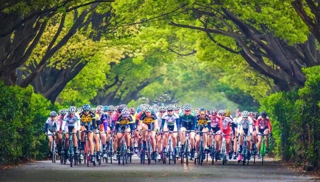 网球、高尔夫、自行车，金秋10月上海国际赛事连场