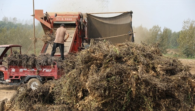 【评论】因扬尘污染而禁用农业机械？基层治理不能顾此失彼
