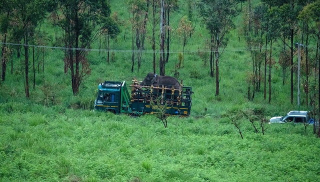 林草局明确林业碳汇项目开发为CCER，相关行业将迎来小爆发