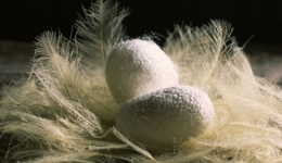 立案調(diào)查，“毛紡巨子”陸克平終身禁入后再遇重挫