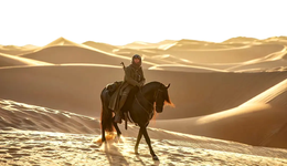 消失的海外大片