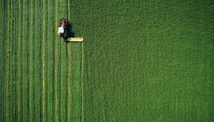 研报新知| 转基因商业化之路即将开启，哪些概念股受益？