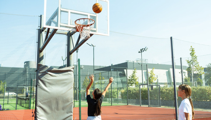 教育,体育,篮球