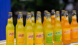 对话兰世立：上市的雄心，悬空的争议