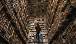 小马智行：走出“理想国”的300天