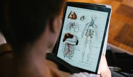 “特种兵”变“脆脆鲨”，“脆皮大学生”新洞察