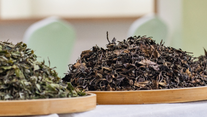 直播带货,抖音电商,茶叶,李陌茶,