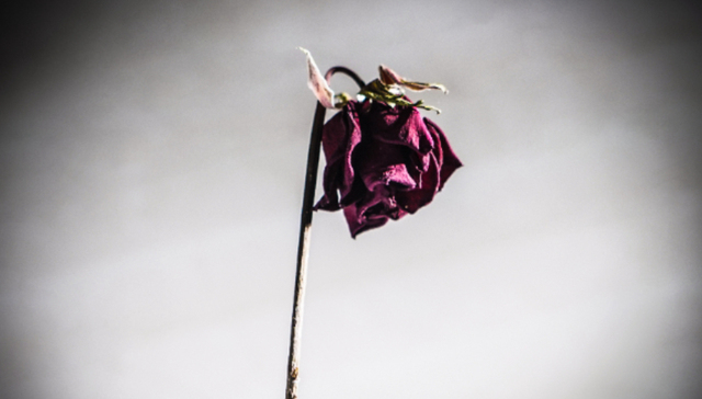 汪峰章子怡离婚账：两人各自名下共43家企业，仅一家为合伙公司