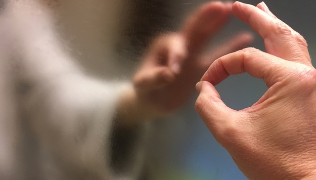 OK镜集采影响渐显，欧普康视Q3业绩小幅下滑