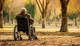 研究：老年人靠子女養(yǎng)老意愿呈下降趨勢，自我養(yǎng)老意愿上升