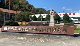 3億定增落地，盤(pán)龍藥業(yè)接受調(diào)研：核心產(chǎn)品受集采政策影響幾何？