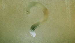 全球50强药企拆分传闻背后：Biopharma的成长困惑