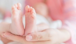 地方新聞精選 | 香港向每名新生嬰兒發(fā)放2萬港元獎(jiǎng)勵(lì)金 杭州辟謠禁止直播帶貨