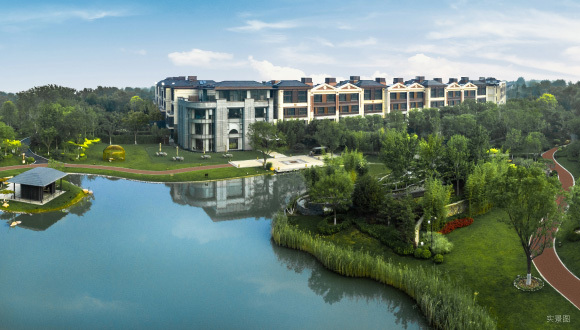 从全球通行经验看，财富阶层如何实现资产保值？