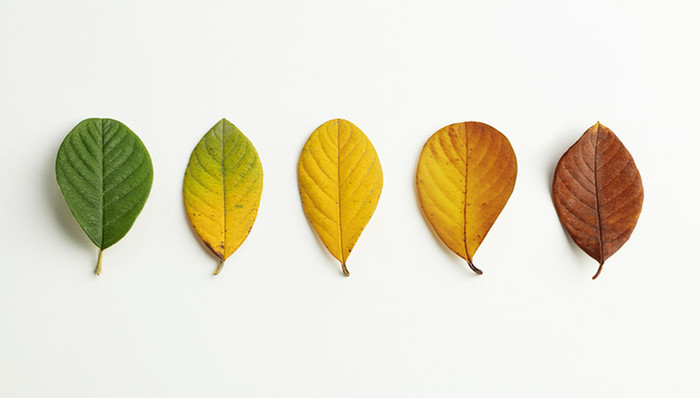 财说 | 单季度增速创历史新低，股价距高点跌掉77%，中伟股份陷入滞涨