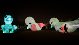 “光影上海”开幕，徐冰等9位艺术家作品照亮蟠龙古镇