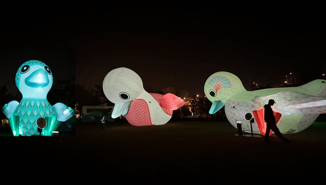 “光影上海”开幕，徐冰等9位艺术家作品照亮蟠龙古镇