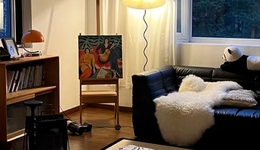 方寸之间，年轻人客厅里的消费密码