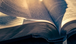 在抖音追小说，养肥了谁？