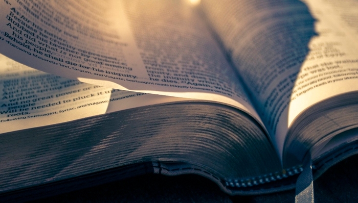 广告推广,小说,短视频,流量焦虑,