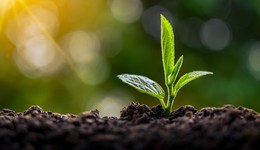 法治面 | 如何提高農(nóng)民種地積極性？農(nóng)村撂荒地治理將有法可依