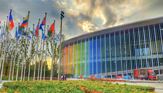 上海，进博会，布展，艺术，展品