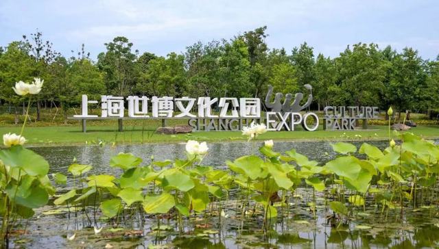 人民的“镜”界：上海世博文化公园摄影大赛及征集活动正式启动