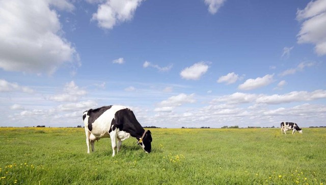 多款创新爆款引爆市场！伊利三季度业绩成“显眼包”