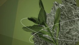 藏碳于土，减排妙计