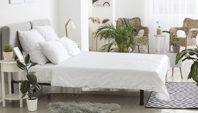 软体家居业绩分化，顾家汇兑损失一亿利润，床垫企业整体承压