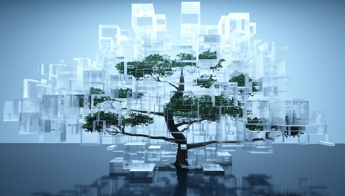 周城雄：从美国经验来看我们可能误解了基础研究和与创新的关系