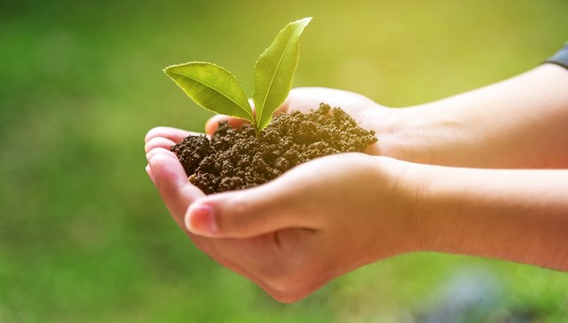 直通部委 | 两部门：保障“出嫁女”涉土地合法权益 卫健委：艾滋病疫情处于低流行水平