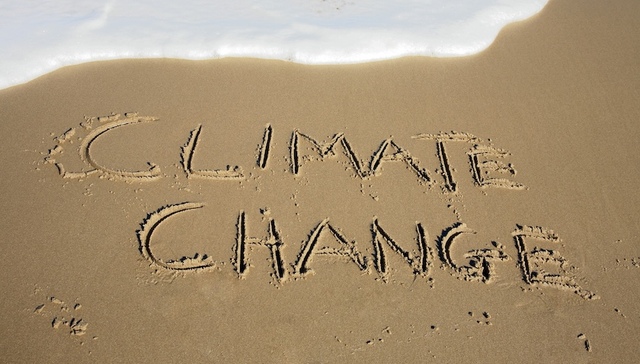 联合国气候变化大会,美国,化石燃料