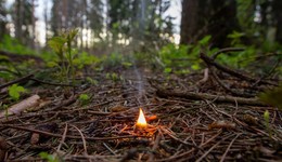 11月份全国18省份部分地区森林火险等级较高