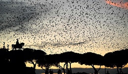 每次氣候變化，我都想揚帆遠去｜一周新書推薦