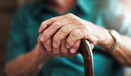 地方新聞精選 | 北京基本養(yǎng)老服務2025年將覆蓋全體老人 朱鹮數(shù)量已擴展至11000多只