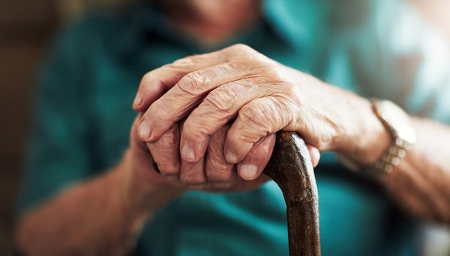 地方新闻精选 | 北京基本养老服务2025年将覆盖全体老人 朱鹮数量已扩展至11000多只