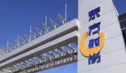 实控人被批捕两个月后，“驾校第一股”东方时尚换掌门