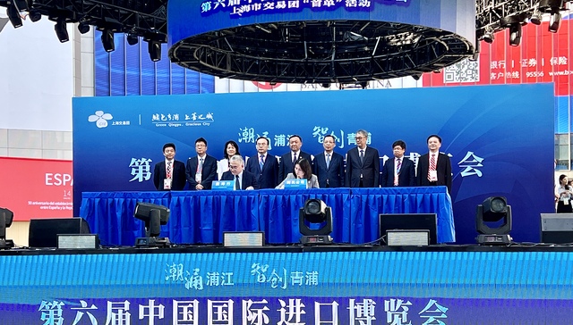 上海,进博,青浦,首单,上海交易团,震坤行