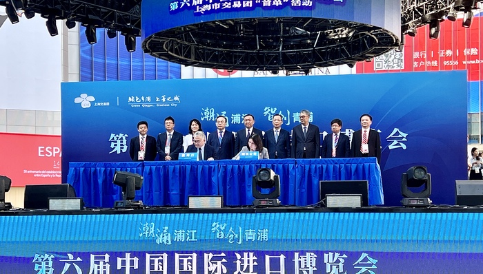 上海,进博,青浦,首单,上海交易团,震坤行