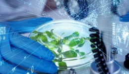 15大潜力赛道，4大新消费趋势，抢占2024年食品饮料创新的N种机遇