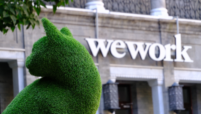 Wework,创业,孙正义,破产,共享办公