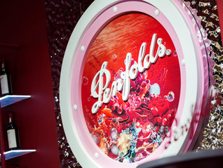 奔富CWT 521 在进博会首度亮相，礼赞系列龙年限量款葡萄酒同时发布 ｜ 发现新酿