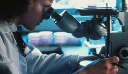 收費最高達300萬？化妝品安全評估毒理試驗既貴且難